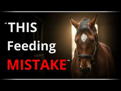 THE MOST COMMON FEEDING MISTAKE HORSE OWNERS MAKE — AND WHY HORSES CAN’T TELL US