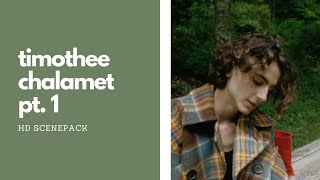 timothee chalamet hd scenepack pt. 1