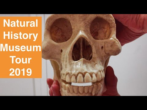 Roshan Famous Lond...