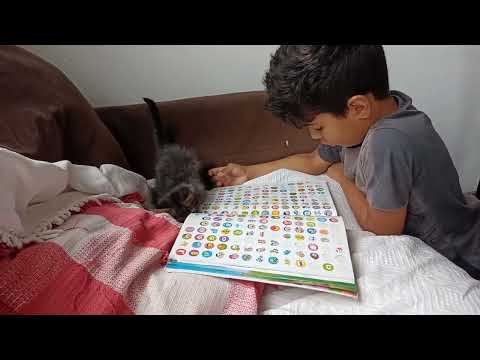 LEITURINHA COM GATINHO