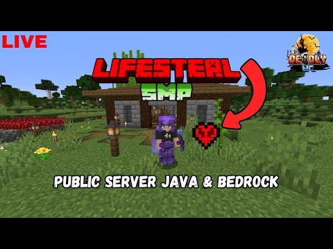 Epic Lifesteal Smp Server in Minecarft! 🔥