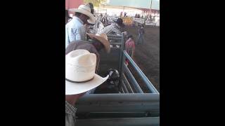 preview picture of video 'LEROY PATTERSON NORCO 2013 bull riding'