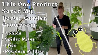 How I Beat Aphids & Pests in My #towergarden using this one product. #aphids #garden #farm