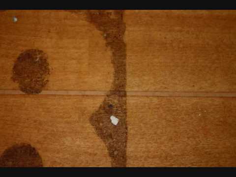 The Nightwriters -Let The Music Use You