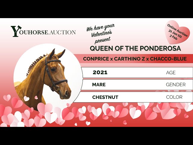 Queen Of Ponderosa