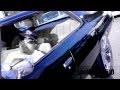 @LEEMAJORS510 "YEAH BUDDY" OFFICIAL VIDEO