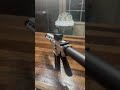 first white 300blk out arp on yt #arp #300blackout #white #ar15pistol   #glock #gun