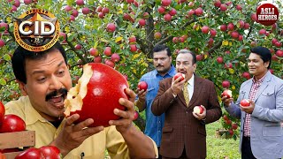 Download lagu CID New Episode | Crime Story 2025 | सी.आई.डी. | CID | New Episode 2025 | Crime Series 2025 mp3