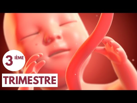 Troisième trimestre | Guide de grossesse