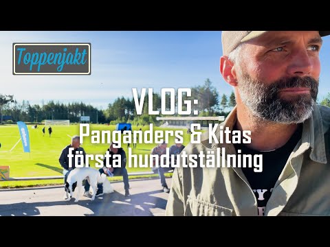 VLOG: Panganders & Kitas första Hundutställning