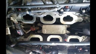 dtc p219b interpretacji