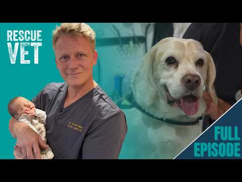 Haatchi the Lumpy Dog Needs Scott's Help!