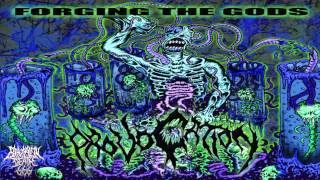 Provocation - Forging The Gods (2012) {Full-Album}
