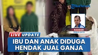 Bawa Ganja Kering Berakhir Diamankan Polisi, Ibu & Anak di Gayo Lues Diduga Edarkan ke Bener Meriah