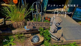 癒しの英国生活🇬🇧 アンティーク巡り・料理教室・犬との散歩