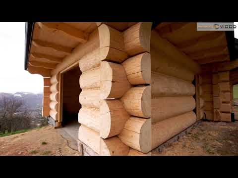 Projekt Feniks 10. Dom z pół bali. Gold Wood.