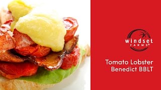 Windset Farms: Tomato Lobster Benedict BBLT