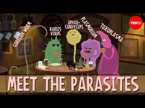 Paraziták és arckiütések