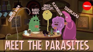How parasites change their host&#39;s behavior - Jaap de Roode