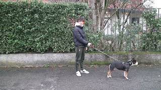 Waiting Session (50$) | TRAILER