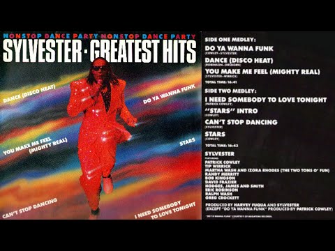 Sylvester ✨ Greatest Hits Nonstop Dance Party Mix ✨ Hi-NRG 80s Electronic Disco ✨