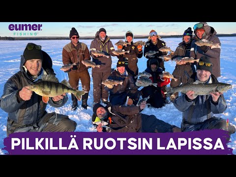 Upeita kaloja Ruotsin Lapista • Jasu Pellin alkulähteillä • Perämeren Lordi rikkoo ennätyksiä