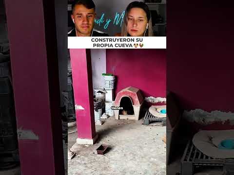 Cuando tus mascotas se toman muy en serio lo de cavar un hoyo y hacen un búnker