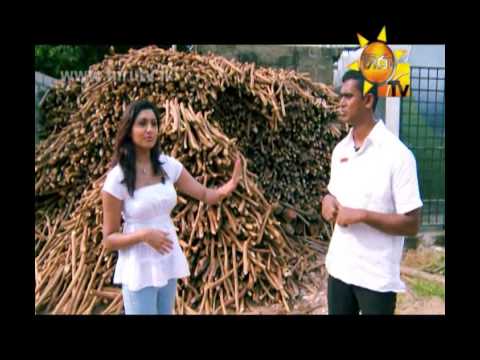 Hiru TV
