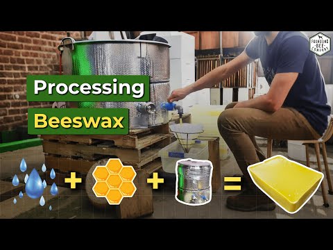 Beeswax Processing Made Easy: Step-by-Step Guide for Beekeepers