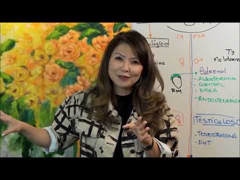 Colesterol HDL, LDL e triglicerídeos - Dra Katia Haranaka