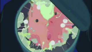 EXPIRATION DATE Lyrics English Translation