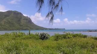 Aloha Aina loko i&#39;a restoration in Kahana July 2016