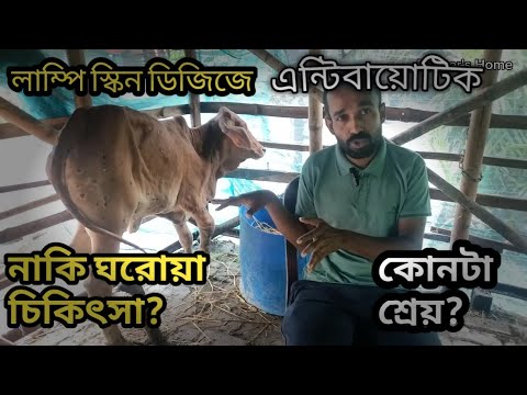 খামার সংক্রান্ত ভিডিও