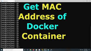 How to get MAC Address of a Docker Container