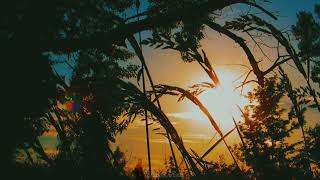 Download lagu Story wa pagi hari | Cinematic 30 detik | Sinematik pedesaan | sinematik estetik alam mp3
