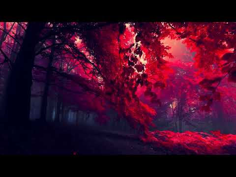 rBert - Sinere (Elfenberg Remix)
