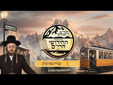 ההרים הגבוהים - חידושי הרי"ם • פרשת ניצבים תשפ"ו