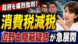 【速報】参政党・塩入清香が政府を痛烈批判！消費税減税の真実と辺野古隠蔽疑惑が急展開