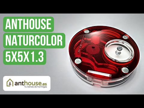 Recensione Del Nido Anthouse Acrylic NaturColor 5x5x1.3