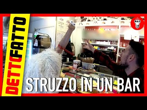 Entrare in un Bar con uno Struzzo al Guinzaglio - DETTO FATTO EP.10 - DE GUSTIBUS EDITION