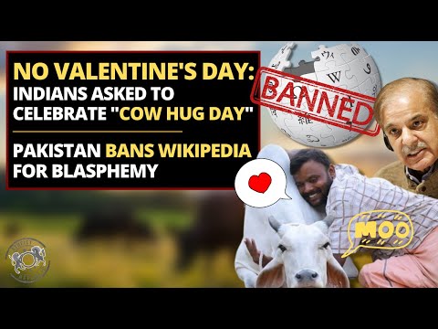 No Valentine's Day: Indians Asked to Celebrate 'Cow Hug Day' - Pakistan Bans Wikipedia For Blasphemy