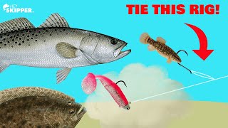SMARTEST Fishing Rig to Catch ANY SPECIES! (Tandem Rig)