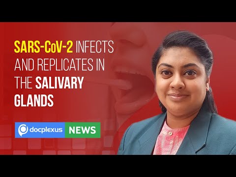 SARS-CoV-2 Infects and Replicates in the Salivary Glands, and More
