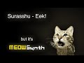 Surasshu Eek But It S MEOWSynth