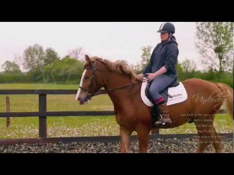 Just look at the mess you made ♪