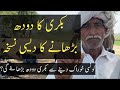 How To Increase Goat Milk Baba Mehnga Gujjer Q N