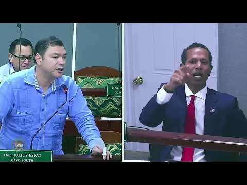 Patrick Faber Criticizes Housing Ministry Over Lack of Starter Homes in Collet PT 2