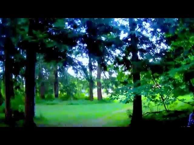 Video teaser per Fpv iflight x'bird 250