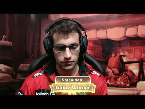 [Hearthstone]Nalguidan vs Purple - Americas Summer Playoffs Finals