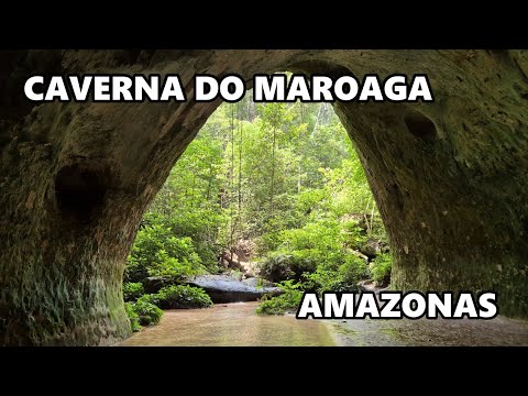CAVERNA MAROAGA EM PRESIDENTE FIGUEIREDO NO AMAZONAS. #brasil #pescaria #pesca #viagem #animal #rio